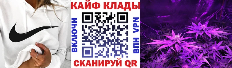 Купить наркотики сайты Балтийск Галлюциногенные грибы Меф мяу мяу