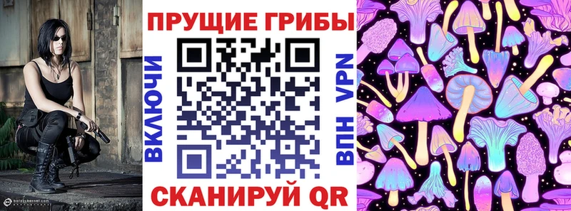 купить   Балтийск  Галлюциногенные грибы Cubensis 